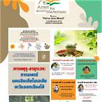ตรวจ17กุมภา65